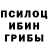 Галлюциногенные грибы мухоморы Nargiza Madjitova