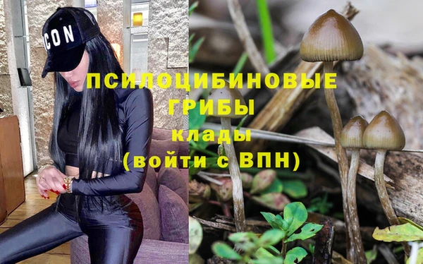 прущая мука Пересвет