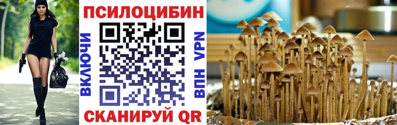 Галлюциногенные грибы прущие грибы  Нерчинск 