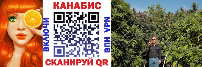 купить   гидра онион  МАРИХУАНА LSD WEED  Нерчинск 